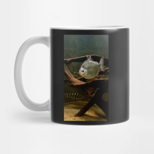 Silver fish in the water Mug